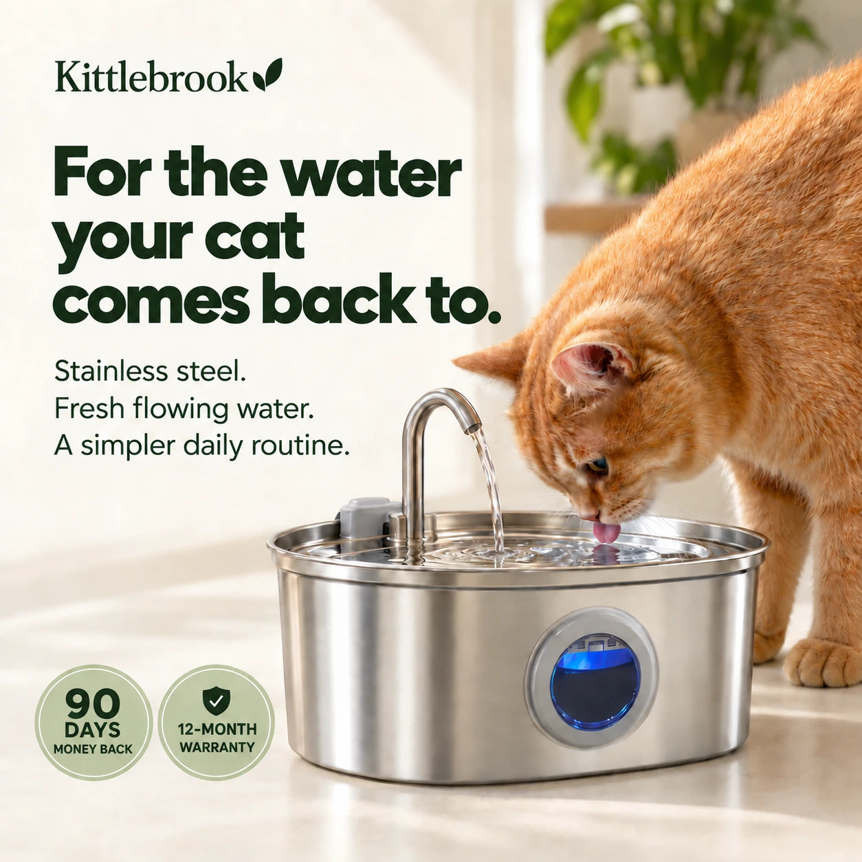 Kittlebrook fountain