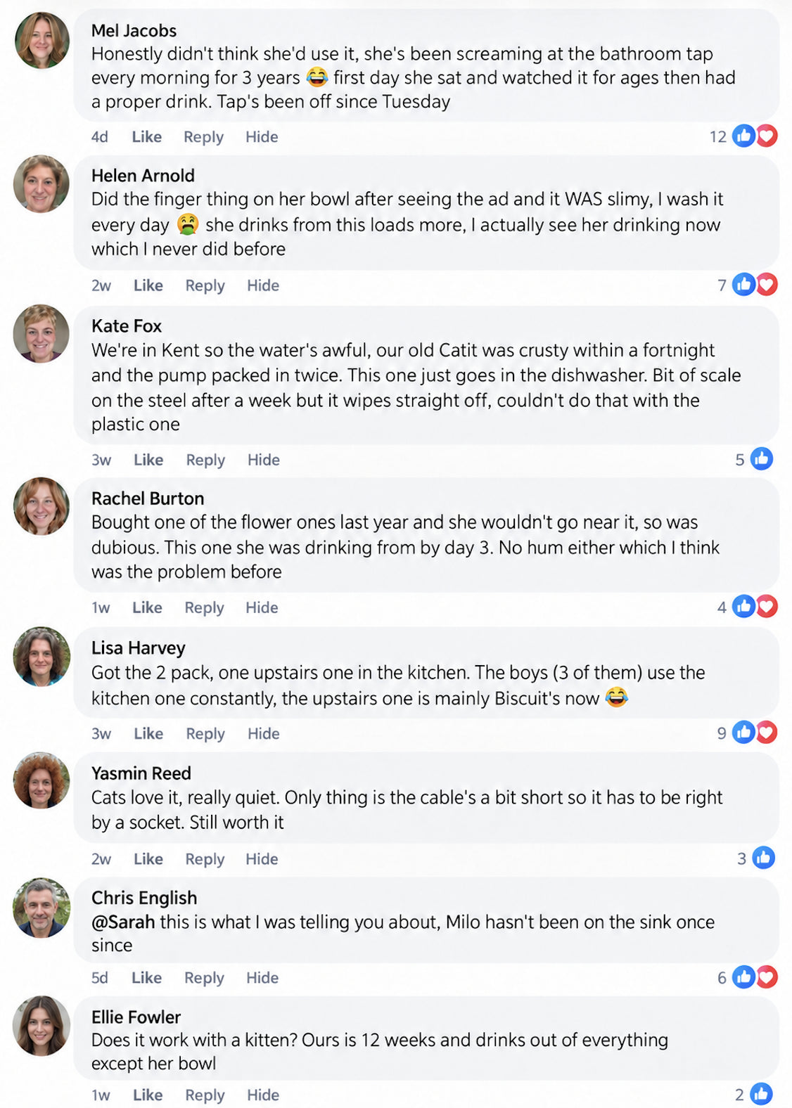 Cat owners discussing their experiences with the fountain
