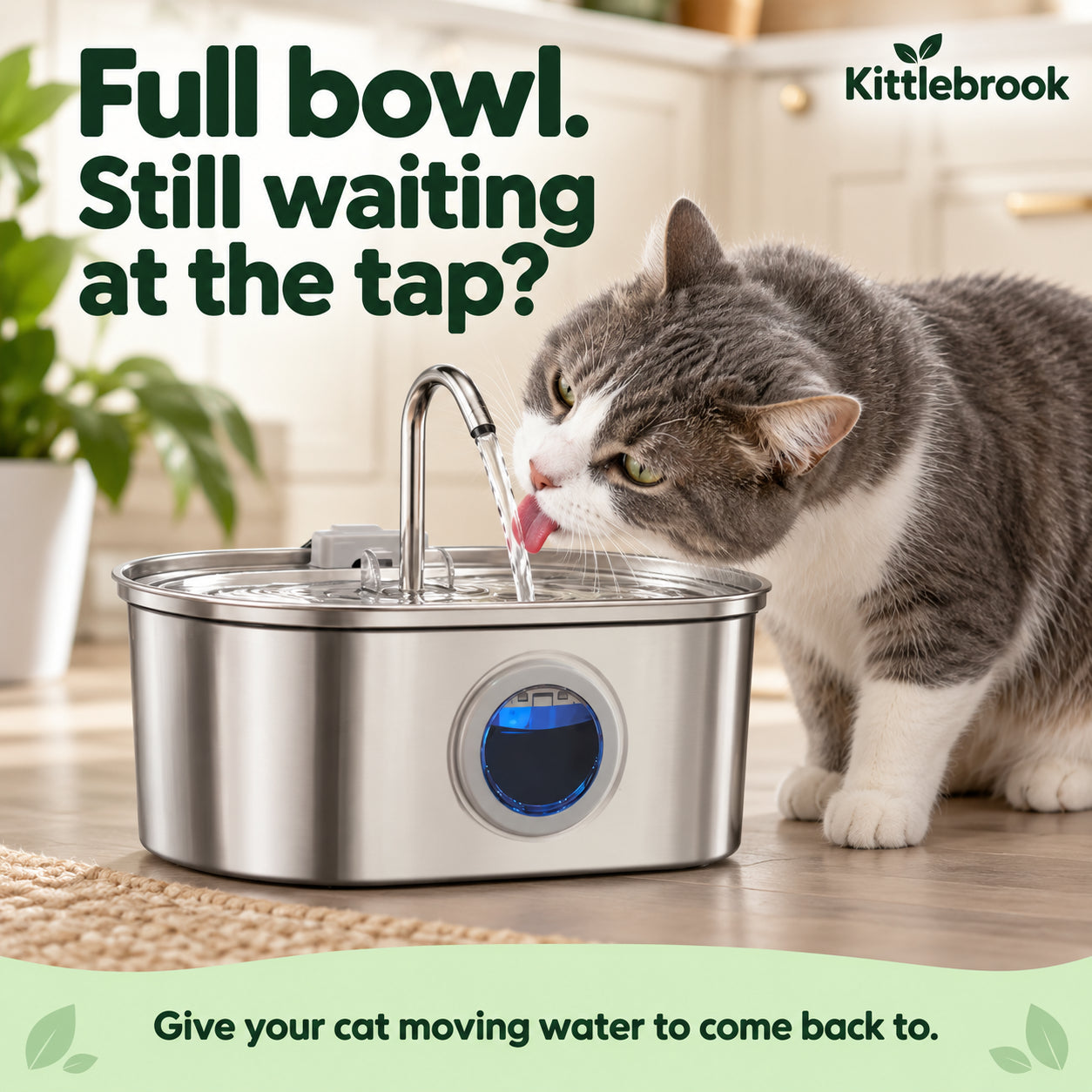 Full bowl. Still waiting at the tap?