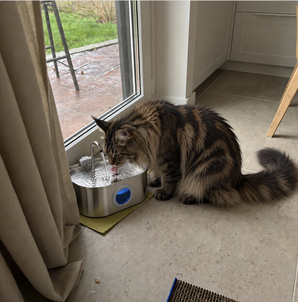 Cat drinking from a Kittlebrook fountain beside the patio door